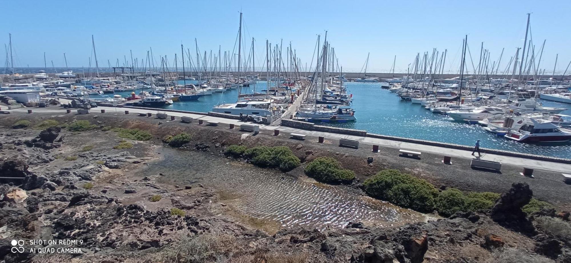 Las Meninas Tenerife Сан-Мігель-де-Абона Екстер'єр фото