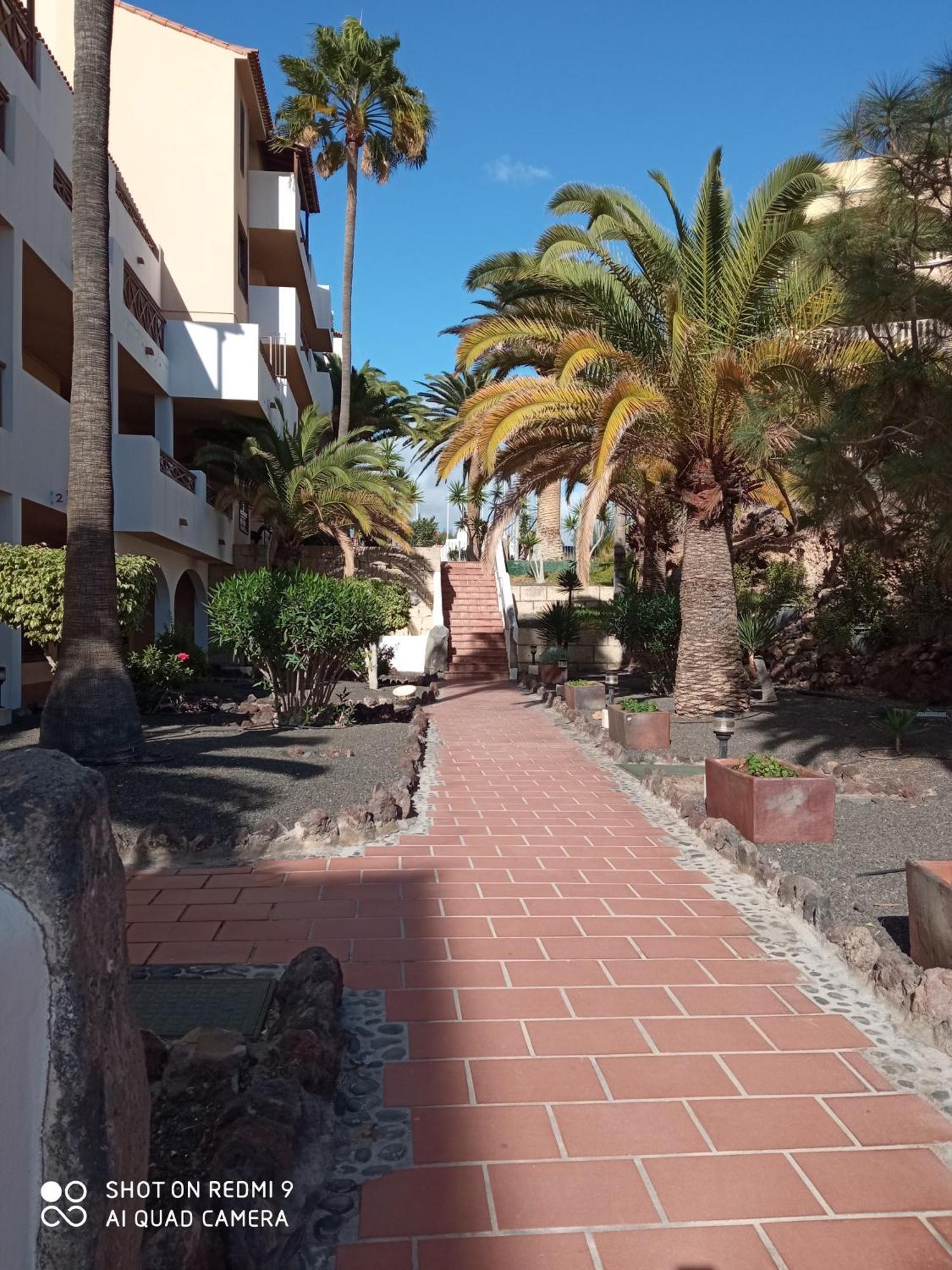 Las Meninas Tenerife Сан-Мігель-де-Абона Номер фото